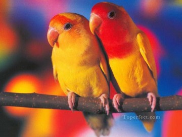 動物 Painting - パペル・デ・パレーデ・ペリキートスの鳥